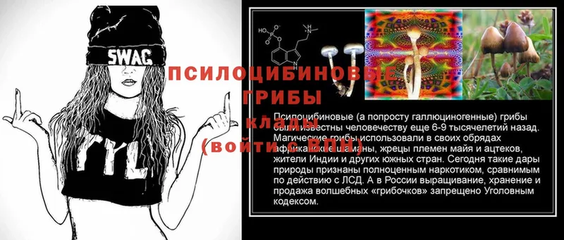 Псилоцибиновые грибы MAGIC MUSHROOMS  Электрогорск 